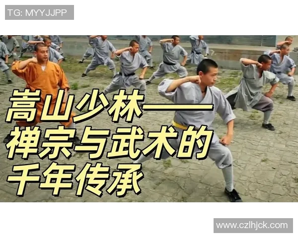 武术精髓与传承探究：从历史渊源到现代发展全景解析